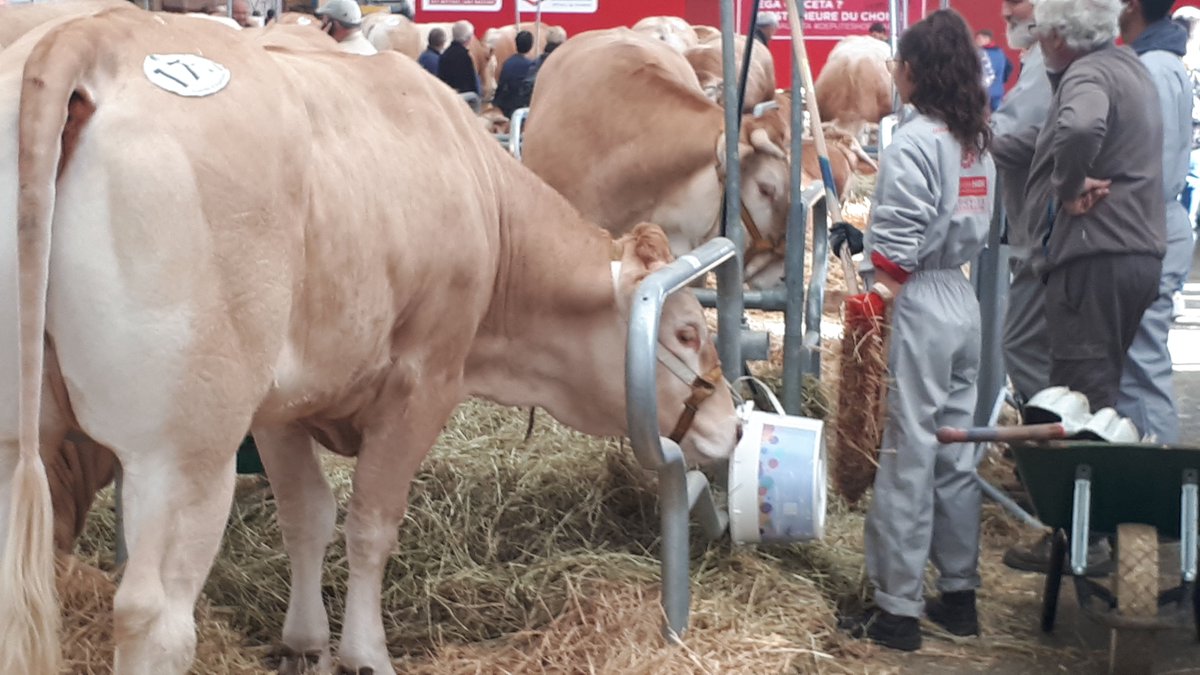 nutrilac_fr's tweet photo. Ouvrez l'oeil au @SommetElevage et vous verrez (vraiment) beaucoup de seaux @nutrilac_fr : #minilic #forza #blockemel ... 😍(Merci @NicolasFourcad6 pour le reportage photo!) https://t.co/2hJ9uHQt0c