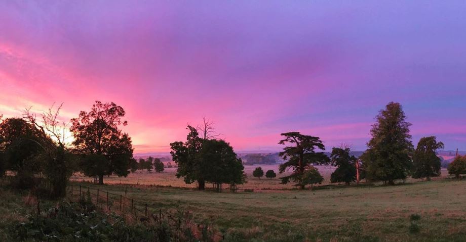 Captured by Tom from the Garden Team this morning ... so many reasons to escape to the Cotswolds this autumn. thyme.co.uk/accommodation