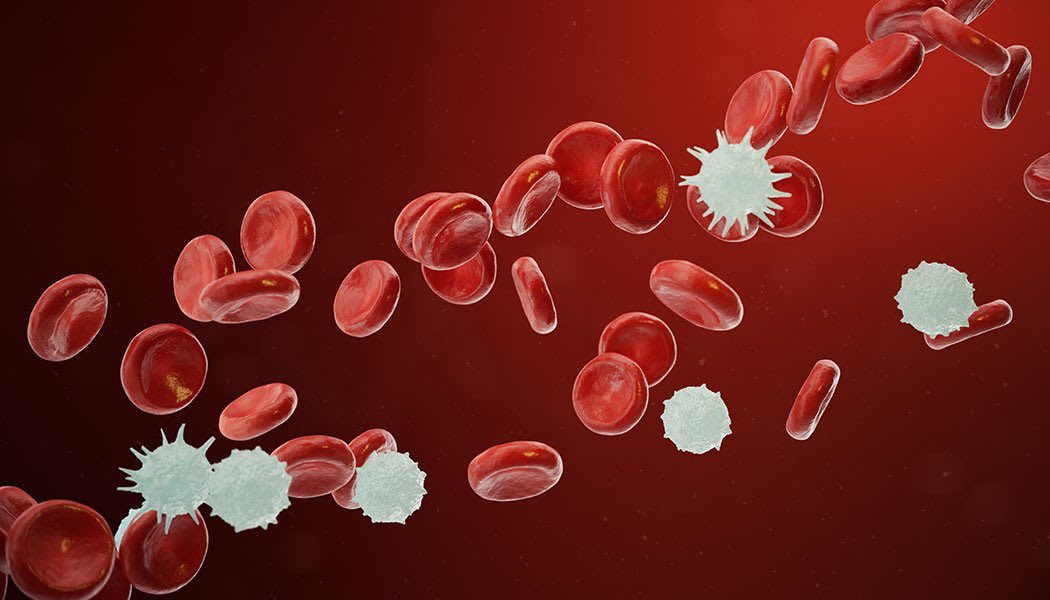 sattam9974's tweet photo. ##CANCER_ 

🔬💉مرض السرطان  CANCER

مرض السرطان هو عبارة عن ورم خبيث ينشأ عن نمو خلايا الجسم نمواً غير طبيعي و بدون سيطرة و ليس لهذا النمو نهاية.
 
هناك ما يقرب من 250 نوعاً من هذا المرض اللعين نذكر منها : سرطان الثدي و البروستاتا و القولون و المستقيم و المثانة والدم 
يتبع.. https://t.co/OQvD0GHmpi