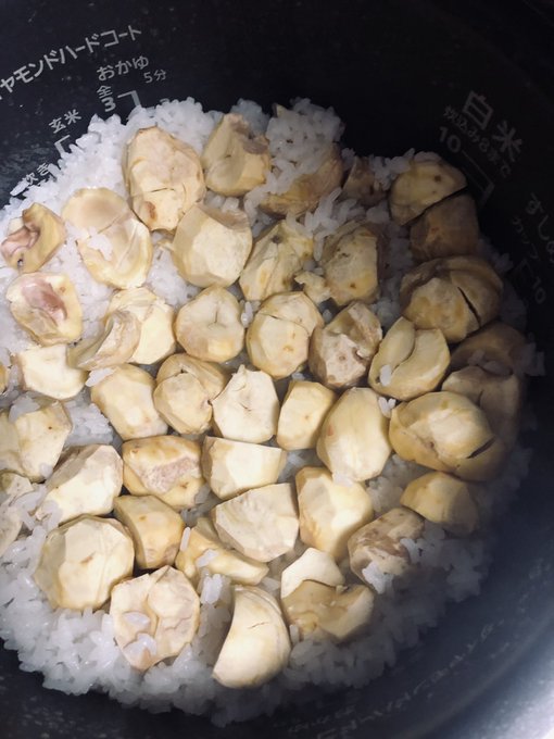 栗ご飯のtwitterイラスト検索結果