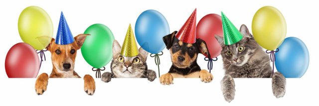 4 oktober dierendag  🐶🐱🐰🐦 10% korting - mailchi.mp/704debb7db8a/d…