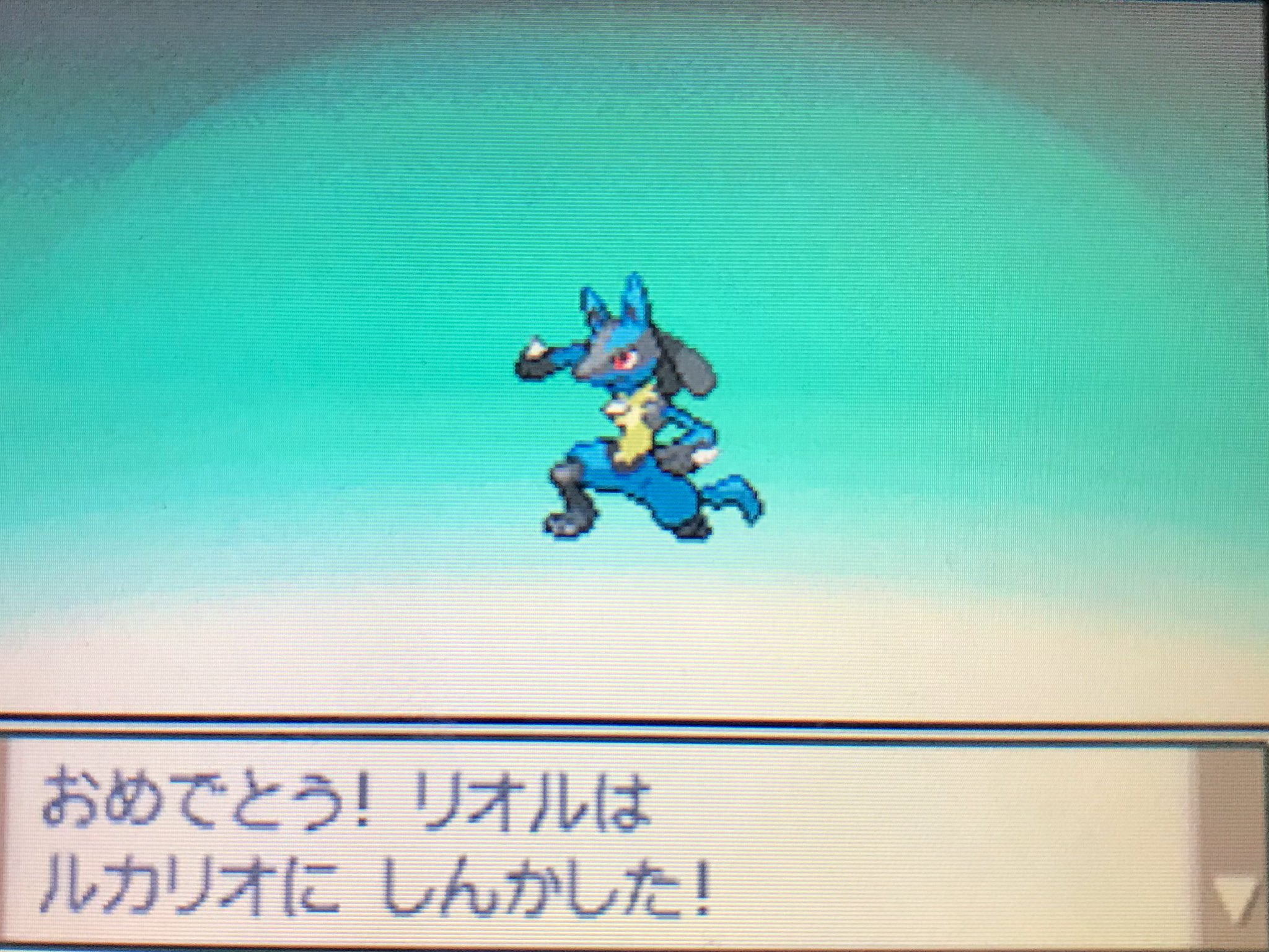 ふっぴー Fuppych なつき進化って嬉しいよね ダイパ ポケモンdpt T Co 7gnuwrpz1d Twitter