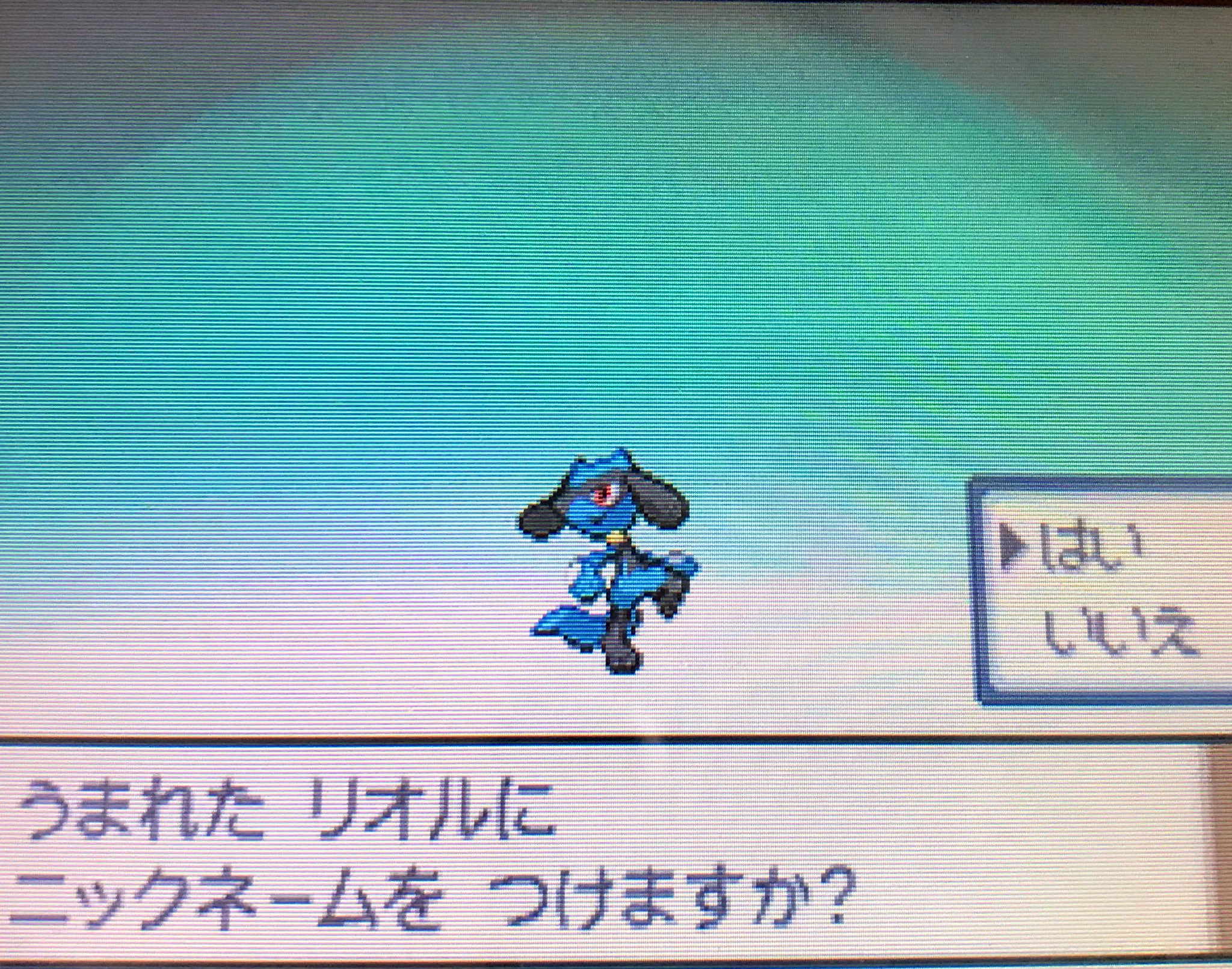 ふっぴー Fuppych なつき進化って嬉しいよね ダイパ ポケモンdpt ふっぴー Fuppych なつき進化って嬉しいよね ダイパ ポケモンdpt