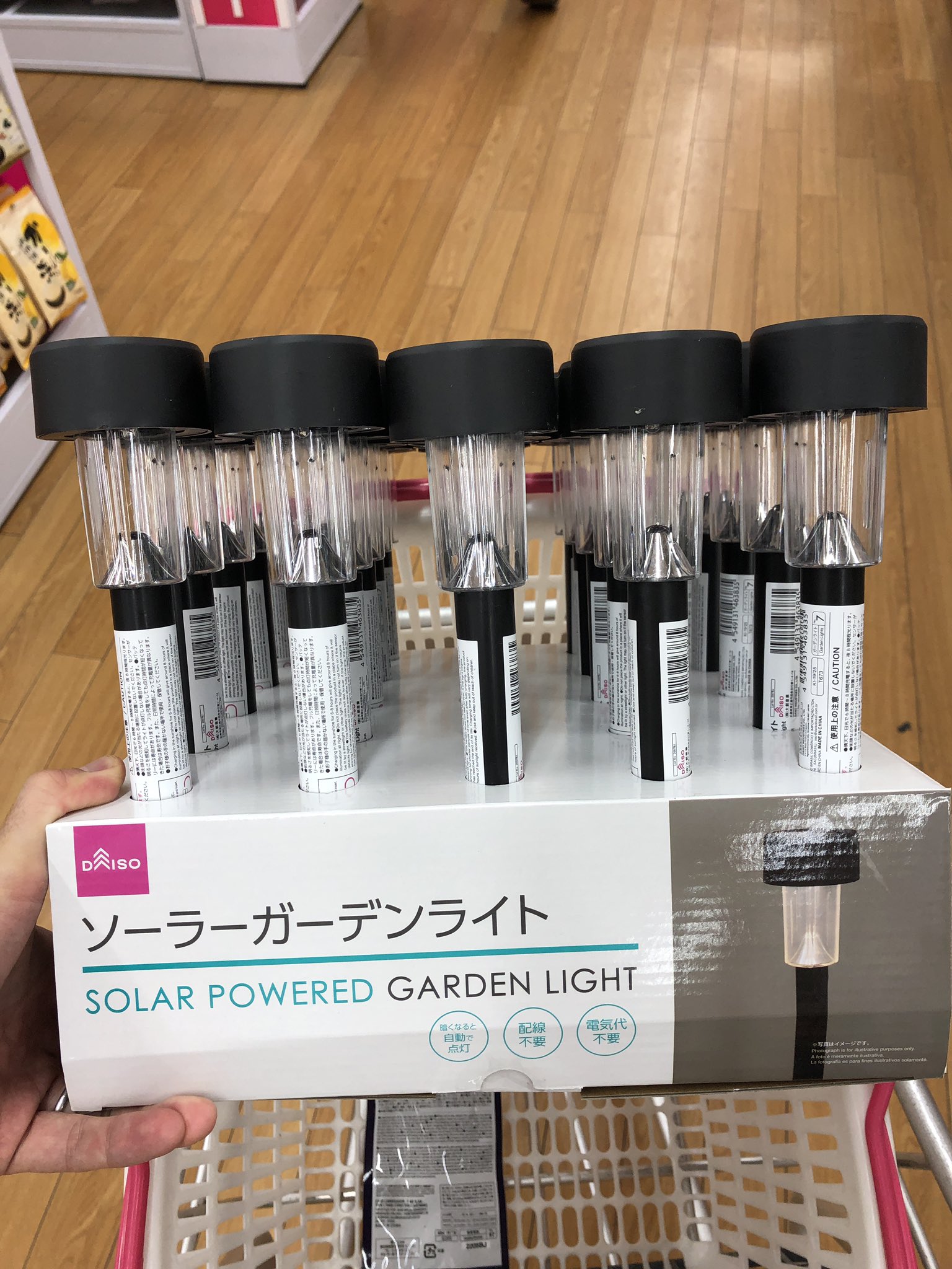 エリオクエスト 南アフリカ珍奇植物専門店 すげぇぇぇぇぇえぇぇぇー たった2500円でこのオシャレ感 ダイソーのソーラーガーデンライト 1本100円 がコスパ最強だから この福音を皆に宣べ伝えたい ダイソー ソーラーガーデン