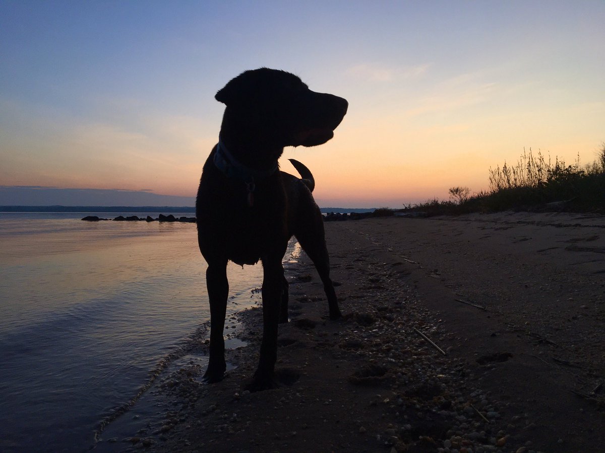 Dawn Howeth 🌤 tweet media