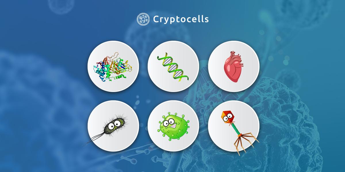Cryptocells tweet media