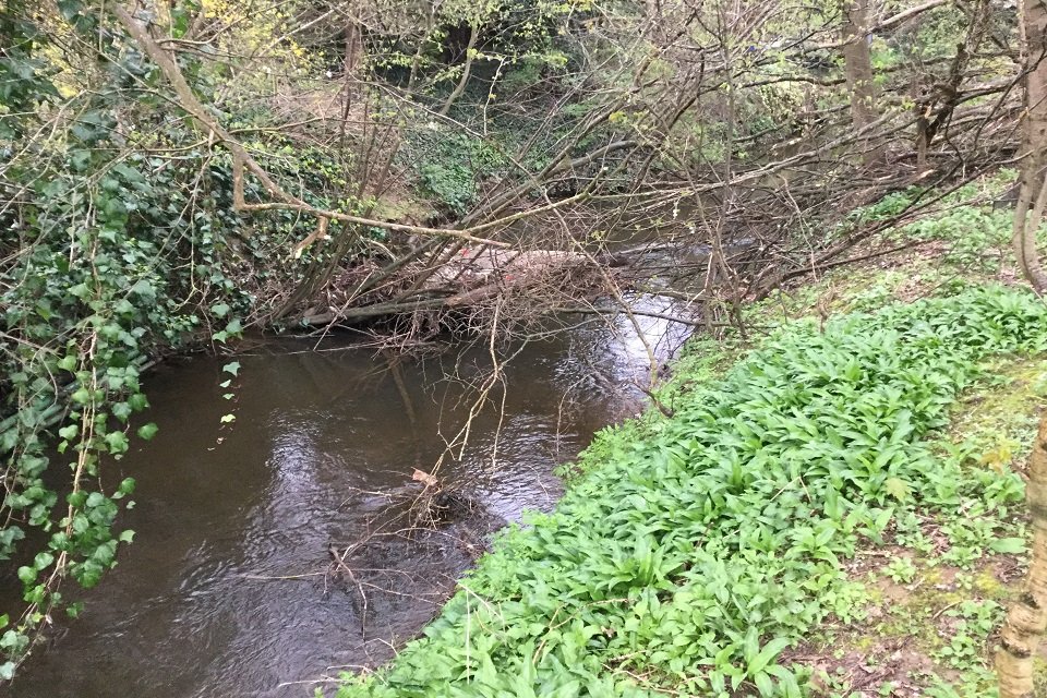 EnvAgencySE's tweet photo. Our #MoleFieldTeam's cleared a blockage from the #GatwickStream at #Crawley...
Good job - it leads to the #RiverMole...
Clear waterways reduce #floodrisk...
If YOU see anything untoward in rivers, please call us: 0800 807060...
β¬οΈBefore and afterβ¬οΈ https://t.co/vpzHkg4sa6