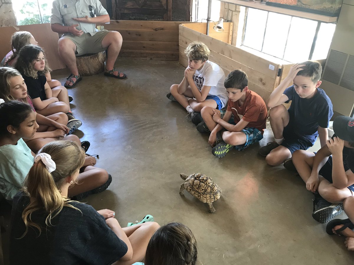 sasMStrips's tweet photo. Fun with reptiles yesterday! https://t.co/1ePBHGJFNl