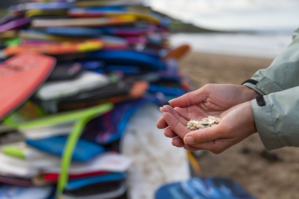 KeepBritainTidy's tweet image. 🌊♻️PLAN BEE FOR BEACH WASTE: Our @BeachCareSW programme breathes new life into 480 abandoned #plastic bodyboards, found on two south-west beaches over summer #PlanBee #WaveOfWaste #PlasticPollution

READ MORE: keepbritaintidy.org/news/plan-bee-…