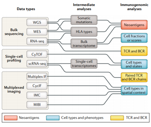 We have fascinating new tools to interrogate cancer immunity. Another post #ESMO19 read
nature.com/articles/s4157…