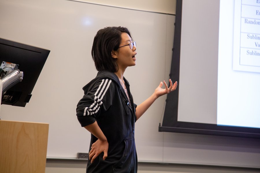 Mengdi Wang presents her work in front of a whiteboard at RL Day 2019.