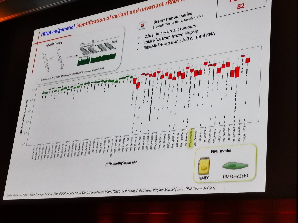 LYriCAN_SIRIC's tweet photo. #crclsymposium
To finish the session on Ribosome and cancer, Dr Jean-Jacques Diaz @crcl presents data using ribometh-seq technique.
This work is supported by @LYriCAN_SIRIC (Integrated research programme 1) https://t.co/jaXCVITc3H