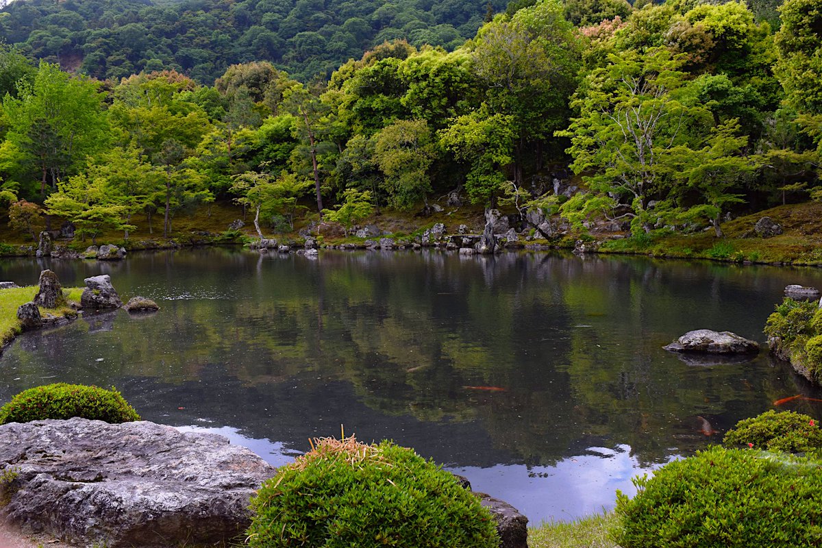 FeralTrek's tweet photo. Kyoto, Japan    #hiking #wanderlust #travelphotography #TBEX #backpacker  #Super_Hiking_Lomax #travelblogger #vacpix #backpacking #hikingculture #beautifulworld #hikingadventures #nature #camping #outdoors #backpacking_daily #nomadlife #nomadtravel https://t.co/R1KmWqRN6Y