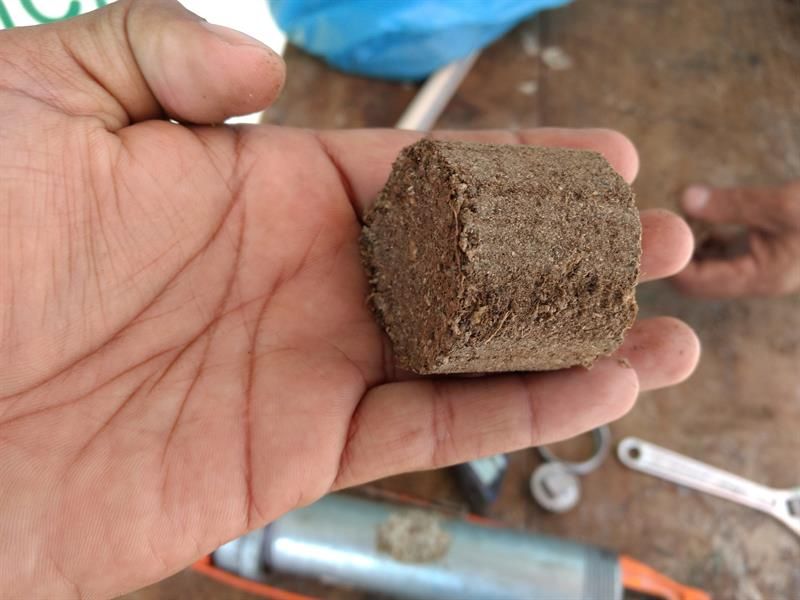 cemiebioalcohol's tweet photo. Jóvenes mexicanos crean biocombustible con desechos de almendras https://t.co/YNkv1zNG1T https://t.co/4svKlabSx1