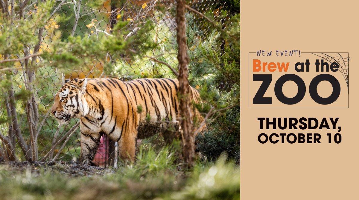 clevezoosociety's tweet photo. Brew at the Zoo is in ONE WEEK! Do you have your tickets yet?!? #BrewattheZoo #WildAboutCLE @clemetzoo https://t.co/C9KVMeCl54 https://t.co/vNqqbltlG4