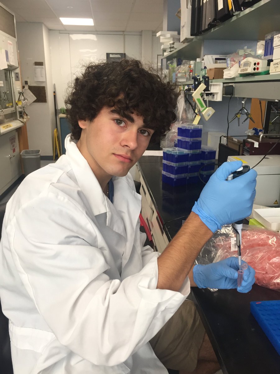 Davis Lab (@rdavislab) on Twitter photo Please welcome Zach Kyros @KyrosZachary !! Our newest intern in the Davis Lab! <a href="/RogerJDavis1/">Roger J Davis</a> @UMassMedical @GSBS_UMassMed Please welcome Zach Kyros @KyrosZachary !! Our newest intern in the Davis Lab! <a href="/RogerJDavis1/">Roger J Davis</a> @UMassMedical @GSBS_UMassMed