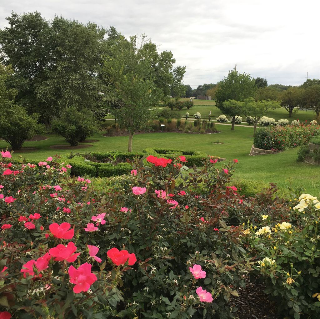 A little stop to see some flowers at the Newton Arboretum #newton #iowa #gardens #freetovisit
