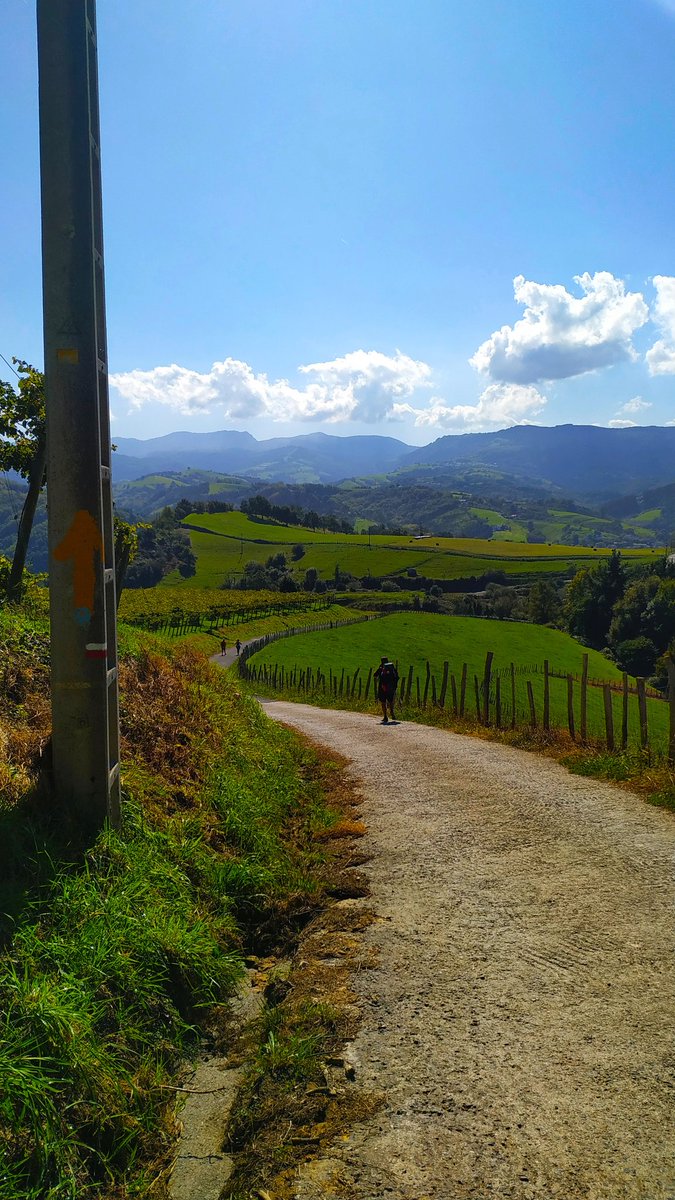rrrosapascual's tweet photo. De color verd 💚 #caminodelnorte #gr121 https://t.co/vsiPZJYWc1