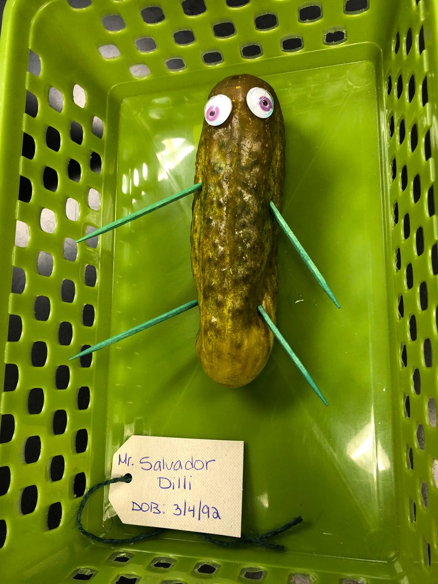 Mel (@melymelstewart) on Twitter photo Ms. Smith's Anatomy students determined the cause of death of their pickle cadavers. This lab was a really big dill and students relished the opportunity to practice their science lab skills <a href="/Official_GRHS/">Gateway Reg. HS</a> <a href="/summerlsmith/">Summer</a> @msmrocks <a href="/coachpierro/">Jeff Pierro</a> <a href="/shanwhalen/">Shannon Whalen</a> Ms. Smith's Anatomy students determined the cause of death of their pickle cadavers. This lab was a really big dill and students relished the opportunity to practice their science lab skills <a href="/Official_GRHS/">Gateway Reg. HS</a> <a href="/summerlsmith/">Summer</a> @msmrocks <a href="/coachpierro/">Jeff Pierro</a> <a href="/shanwhalen/">Shannon Whalen</a>