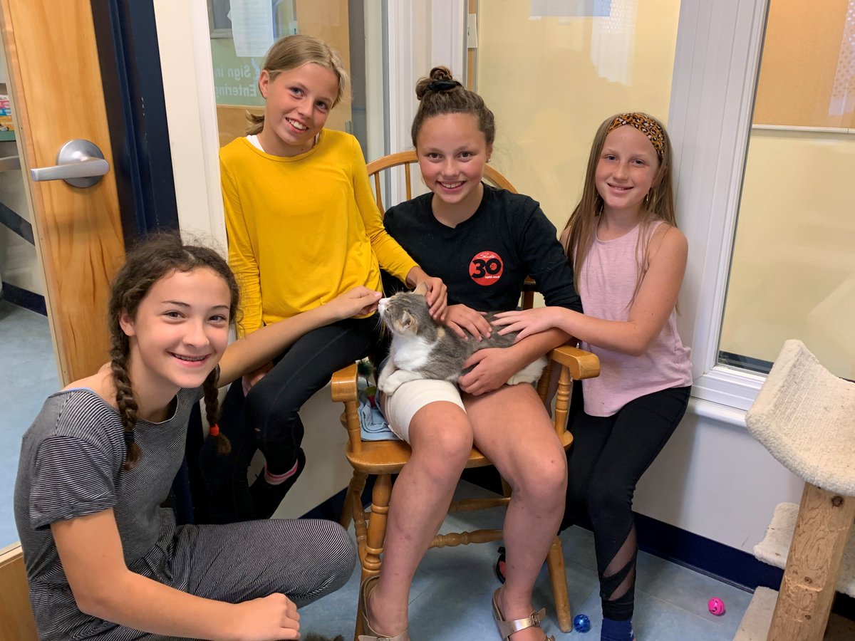 CES_VT's tweet photo. Sixth graders began their community service projects last week - volunteering at the community lunch and at the North Country Animal League. This group was lucky enough to spend time with some very special cats in addition to sweeping and folding laundry at NCAL. #cesvt #vted https://t.co/wD4H7XBHmS