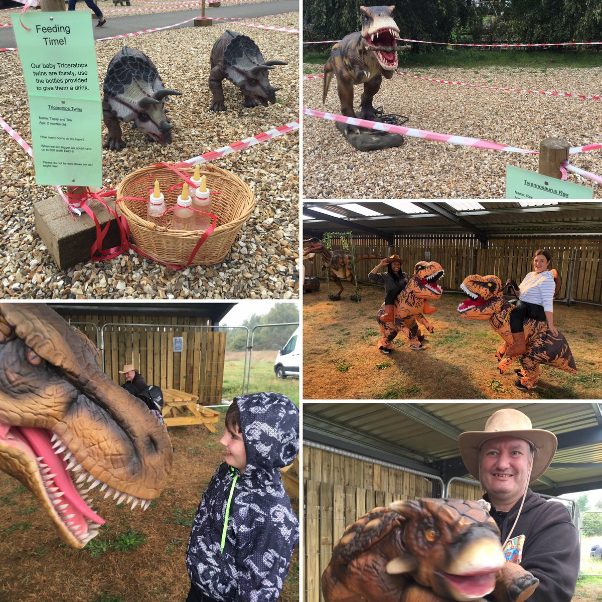 pinkpigfarm's tweet image. A big #thankyou to #funzoneevents &amp;amp; #brigggardencentre for their brilliant contributions to our recent Dinosaur Weekend 🦕 🦖