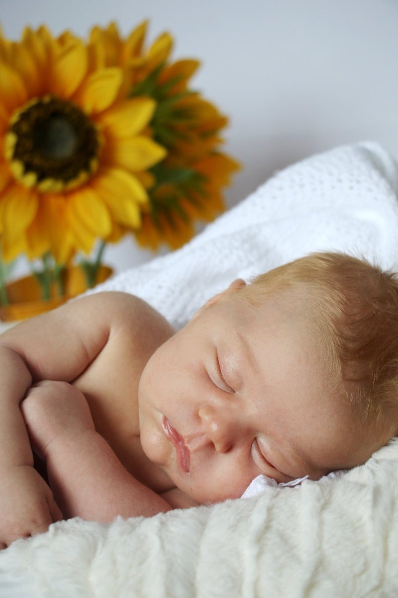 loz_flood's tweet photo. 👶🏻👶🏻👶🏻 #baby #newborn #photography #photographer #babyphotography #babyphotographer #portrait #babyportrait #babypics #babyphotos #studio https://t.co/L8muTDM5i4