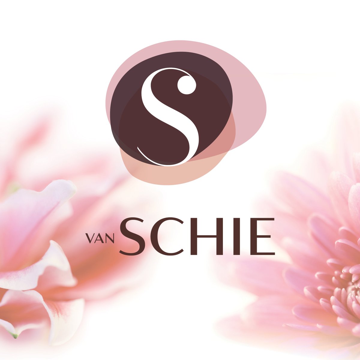 Van Schie tweet media
