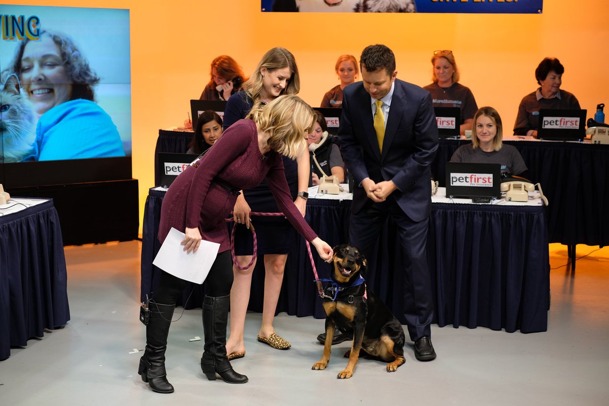 fox12oregon's tweet photo. Thank you so much to all our amazing viewers who donated during the #DayofGiving for @OregonHumane! Your generosity supports the shelter’s life-saving mission to help animals in need. #OHSpets #OregonHumane #FOX12 https://t.co/RitQ5yFaUh