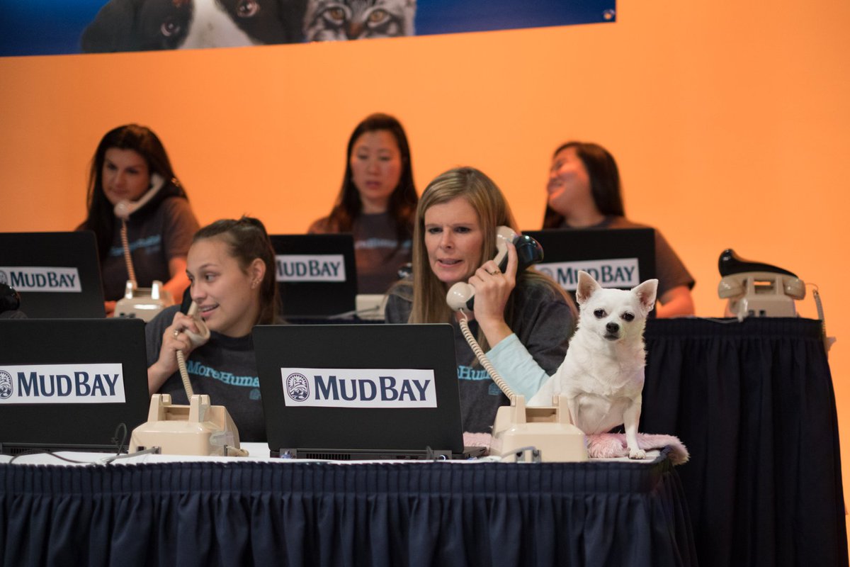 fox12oregon's tweet photo. Thank you so much to all our amazing viewers who donated during the #DayofGiving for @OregonHumane! Your generosity supports the shelter’s life-saving mission to help animals in need. #OHSpets #OregonHumane #FOX12 https://t.co/RitQ5yFaUh