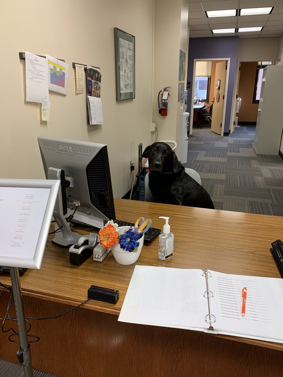 Have an advising appointment today? You’ll get to visit with our front desk worker! Junior is here all day!