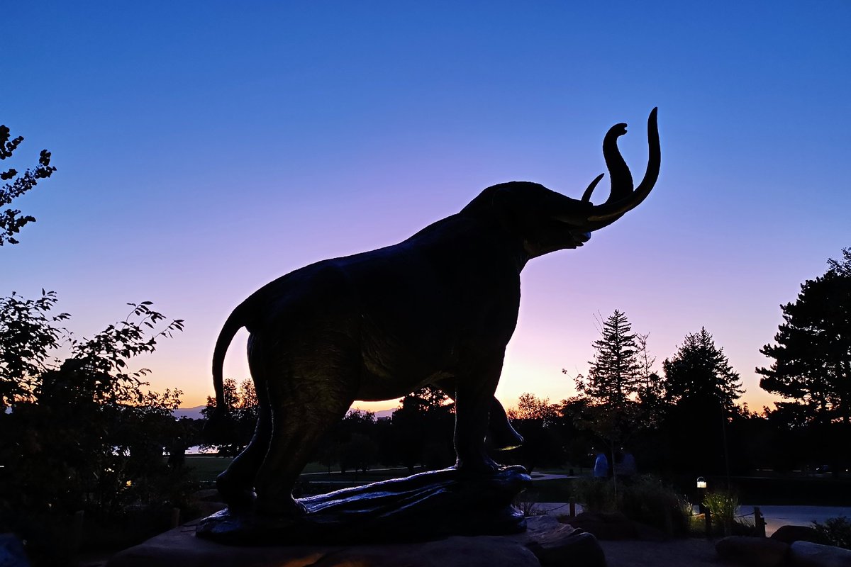 RuiRayWang's tweet photo. Beautiful sunset at Museum of Nature and Science #KenticoConnection2019 https://t.co/gi7TJHdoqZ