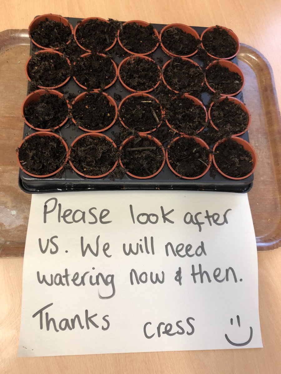 Giving purpose - Our patients are taking their pots of cress to look after and grow at their bedsides #givingpurpose #roles #meaningfulactivities #strokeunit #rehabilitation #stepuptogreat