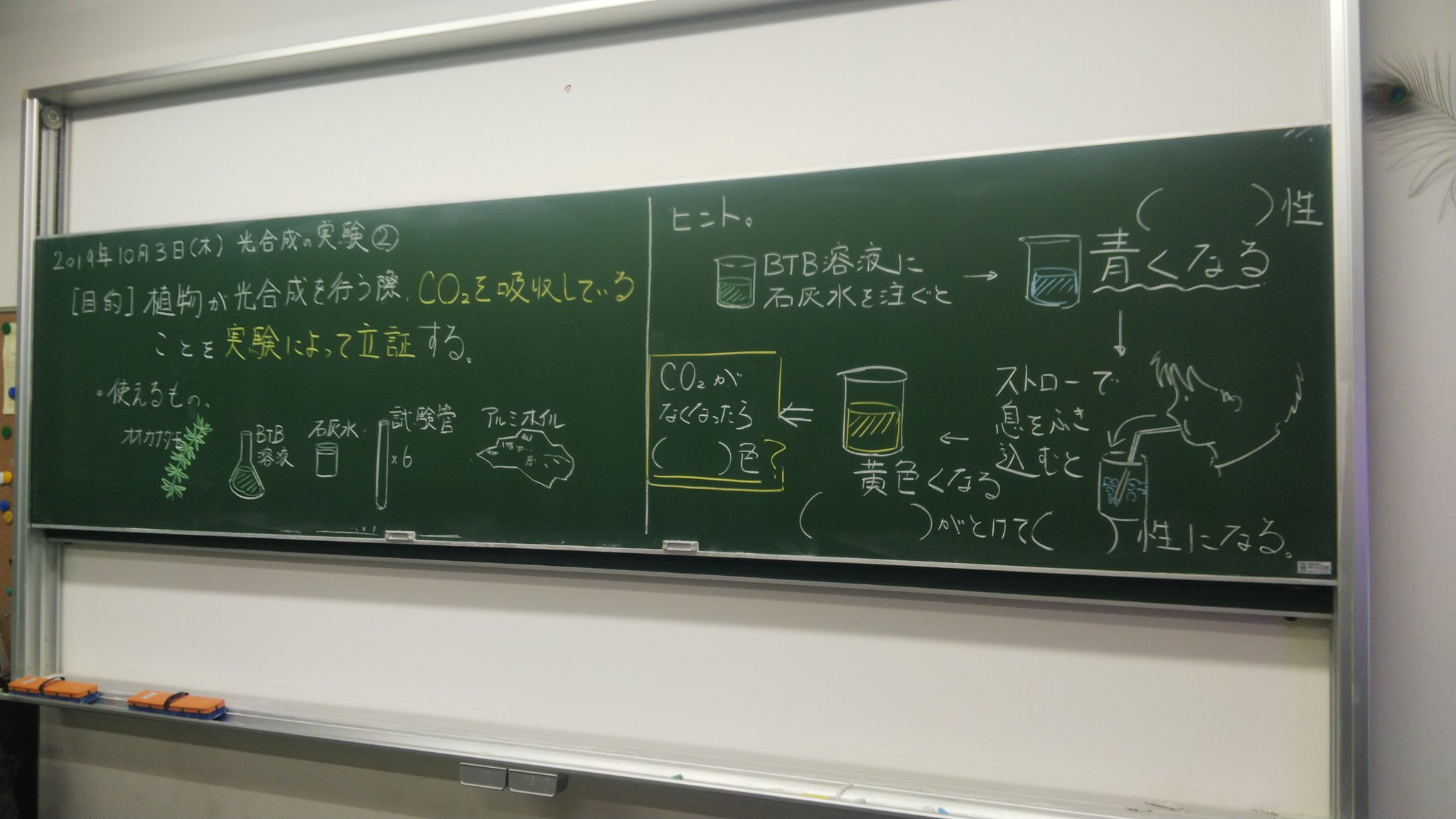 理科教師とらふずく 今日のやつ Btb溶液使った光合成の実験はオーソドックスだけれど 今回はヒントだけ与えて実験系を考えさせてみた 見て回ったところ 対照区を用意している班としてない班があって面白い 授業中頃に僕がやり方の模解を提示して