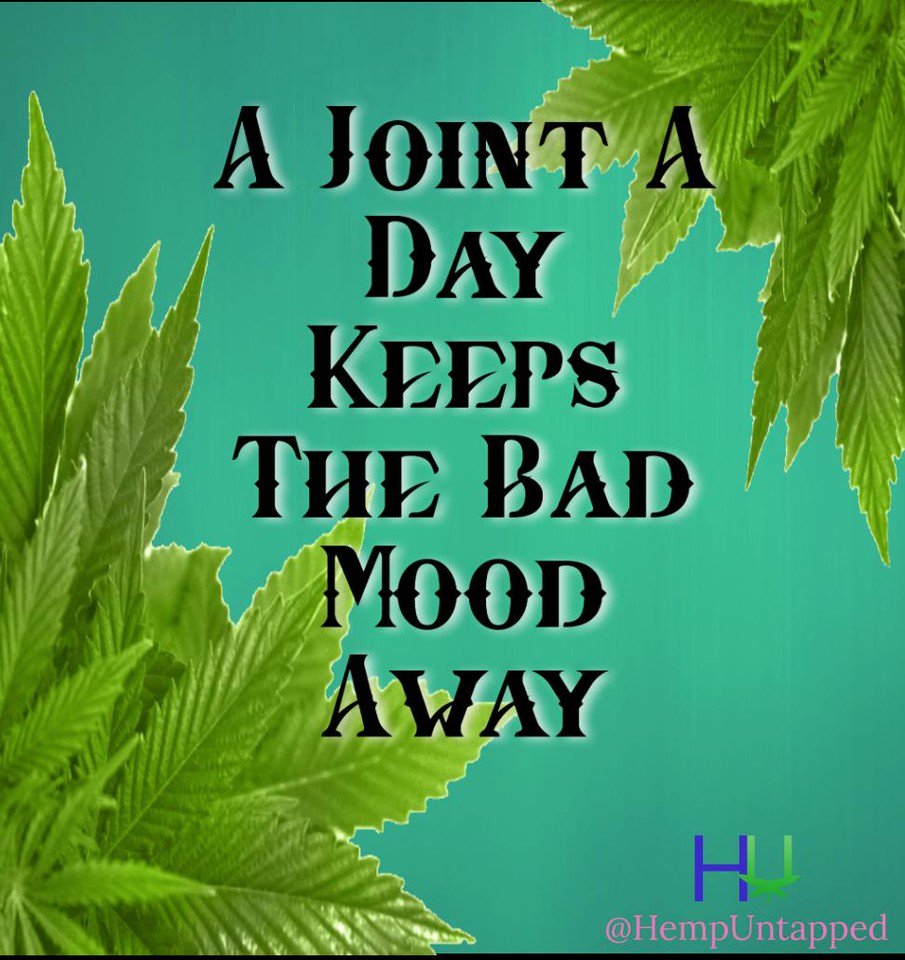 Hemp Untapped tweet media