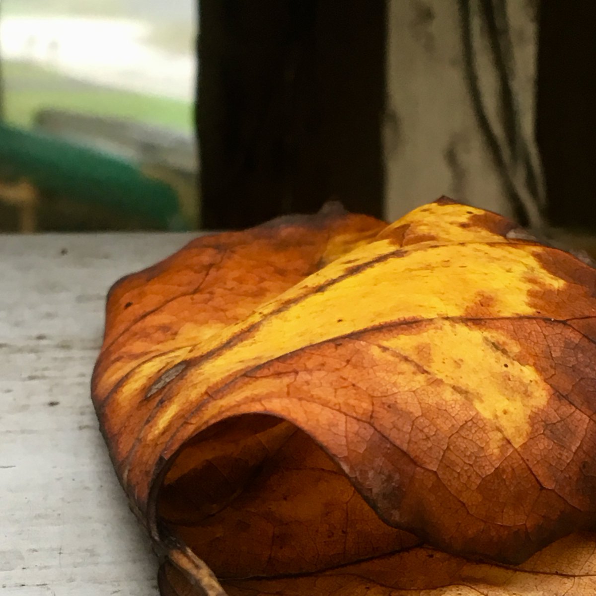 What are your favorite things about fall in Kent? Ours are Oktoberfest, lattes, hike &amp; bike trails, the farmers’ market, and...the list goes on and on. Your turn ->