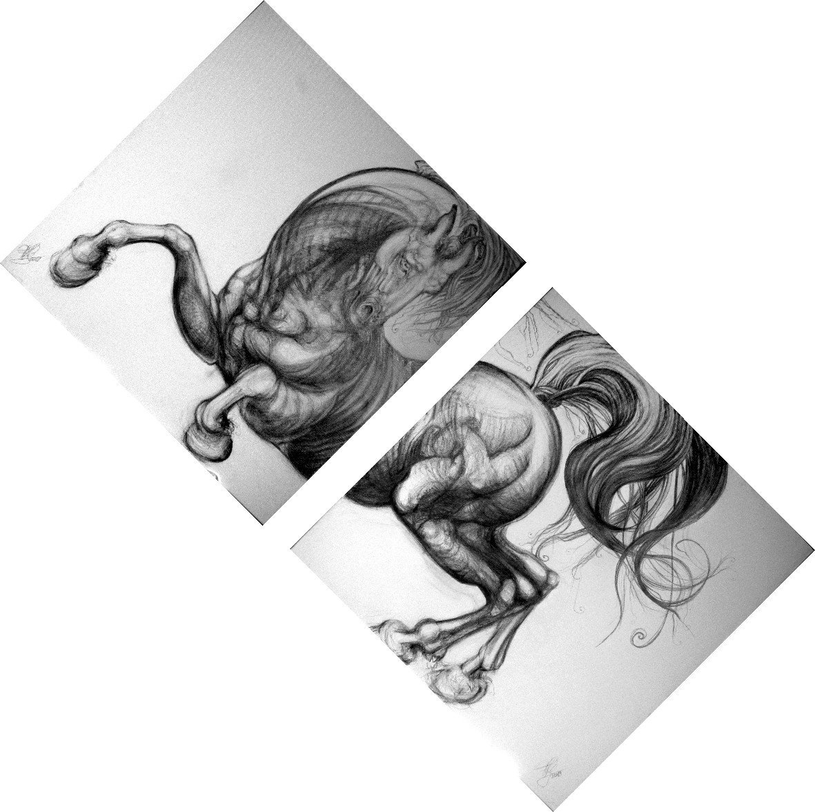 florencemarcea1's tweet photo. Un grand merci à tous pour ce prix spécial :)
https://t.co/ka1vUW8rIU

#tropheecarrare2019
#lesbodiables
#harasdestlo
#leonarddevinci
#artcontemporain
#dessin https://t.co/bUmKZbfyDS