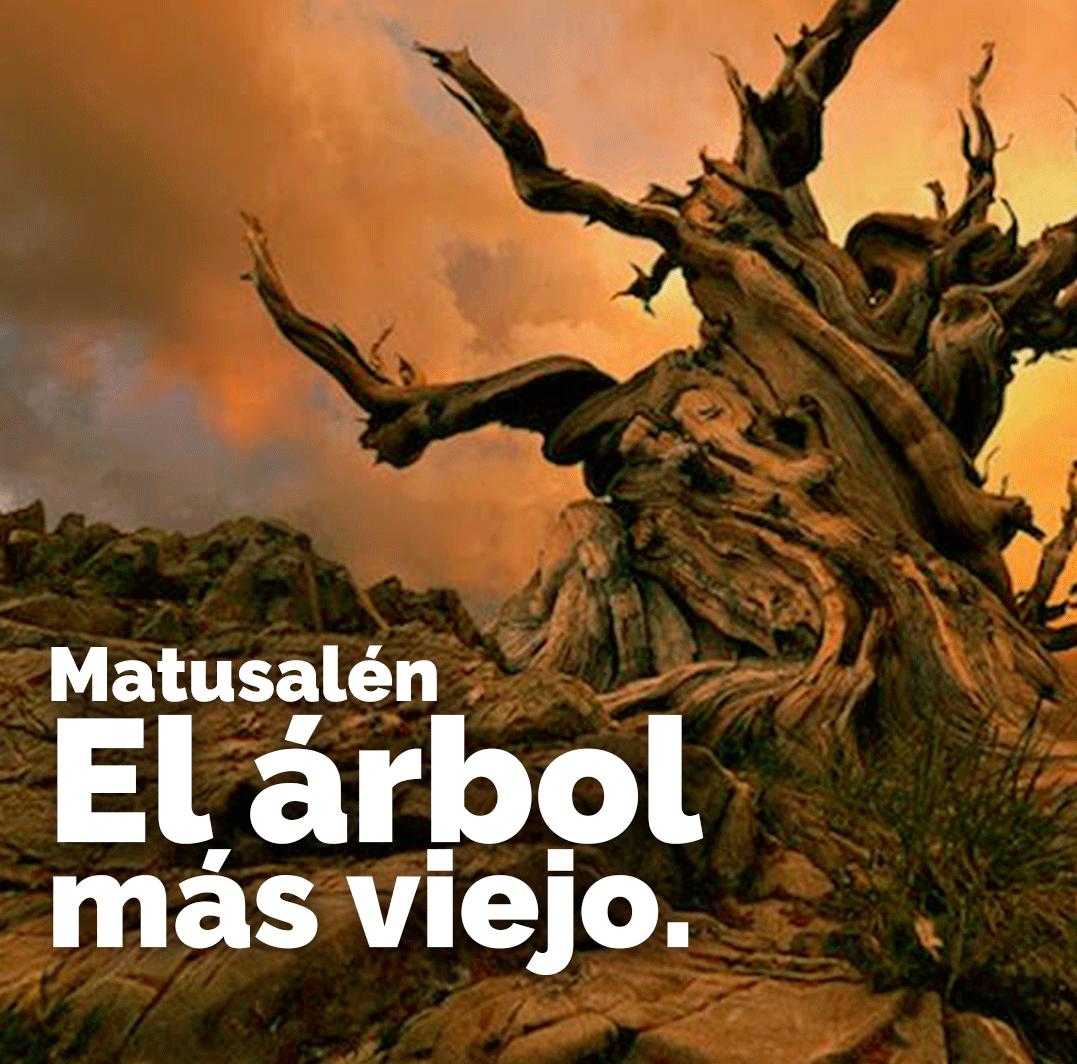 Las siguientes 3 cosas que debe hacer de inmediato con respecto a windows 8.1 k