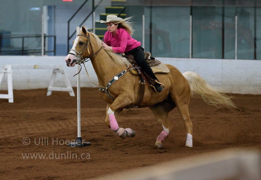 DFCBarrelRacer's tweet photo. Riding an open pole horse when you’re a solid ~mediocre~ jockey at best has its moments.
#SheMakesMeLookGood https://t.co/7Uv3Pq2EZq