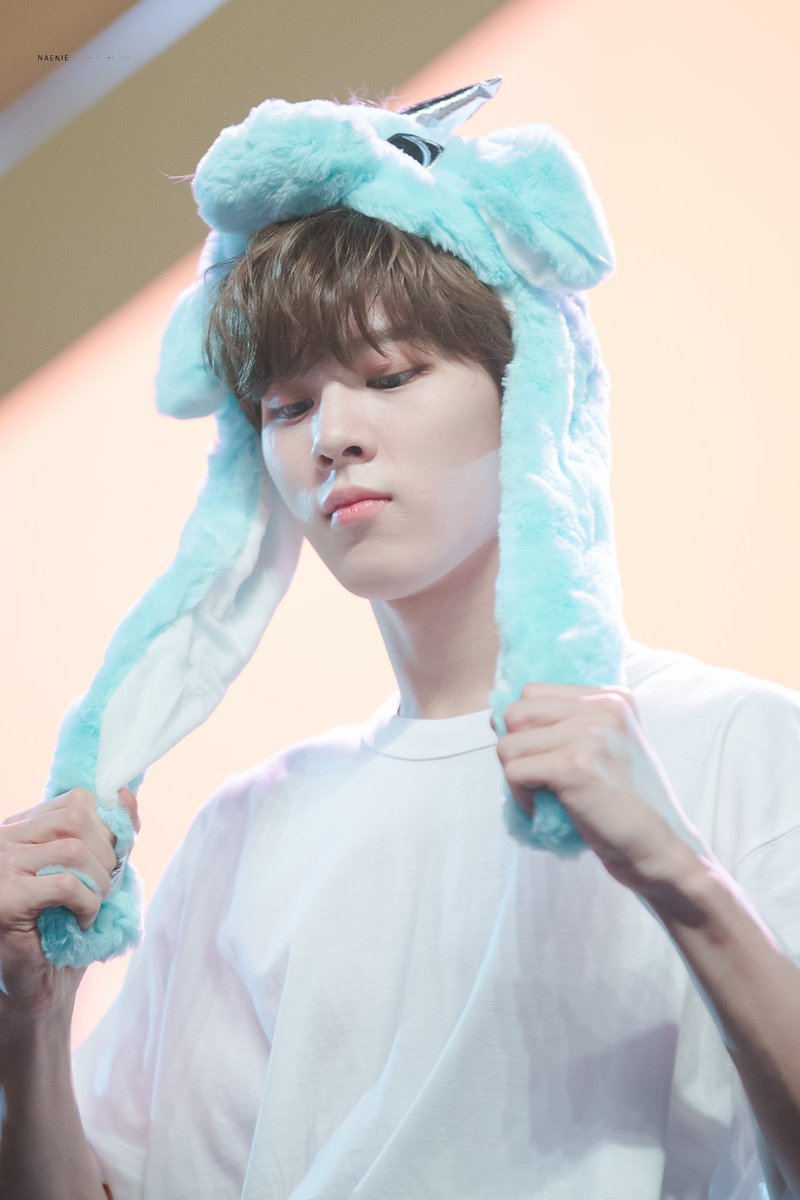 Naenie_N2's tweet photo. [HQ] 190929 🦄🔵#김우석 #우석 #kimwooseok #엑스원 #X1 #KCON2019THAILAND    #KCON19TH https://t.co/AgoORFlgPA