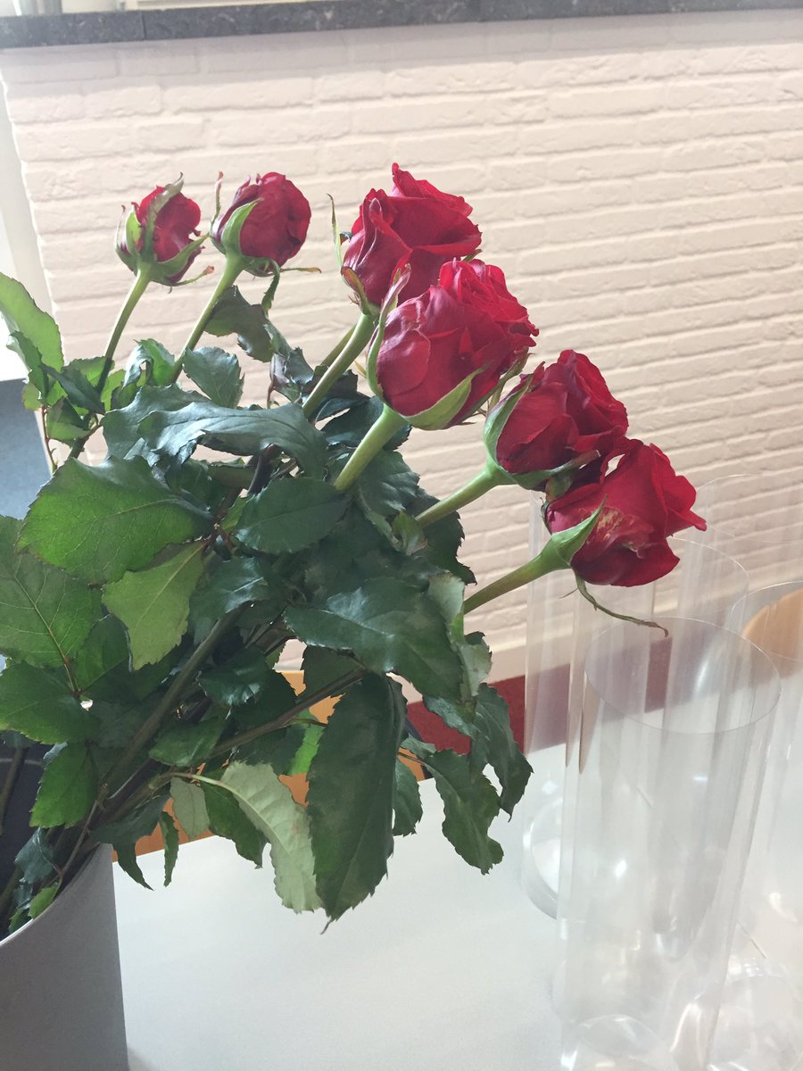 arlangenberg's tweet photo. Mooi moment propedeuse uitreiking aan 150 hbov @viaazwolle  #gefeliciteerd #succesmethetvervolg https://t.co/Am4nv8J2XG