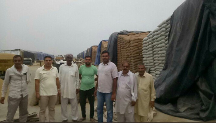 Jeet_Sangwan's tweet photo. @PMOIndia @narendramodi @DDNational @irvpaswan @EconomicTimes @aajtak @TimesNow @htTweets 6 mnths after procurement,wheat is still lying in the open under poor condition,dis is in a country where  almost 20 mn ppl sleep empty stomach everyday and no one cares https://t.co/YA764hOk4Y