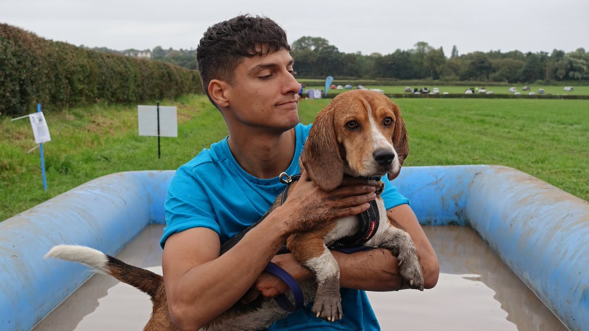 cbbc's tweet image. On today&apos;s #BluePeter Henry tries the #MuddyDogChallenge with @RichieDriss! Let&apos;s just say, things did get a little messy! 🐾

So much so we will be giving the BP pooch a bath live on the show, a Blue Peter tradition! 🐶💙

Tune in on CBBC at 5:30pm!

@Battersea_ #Dogs #MuddyDog