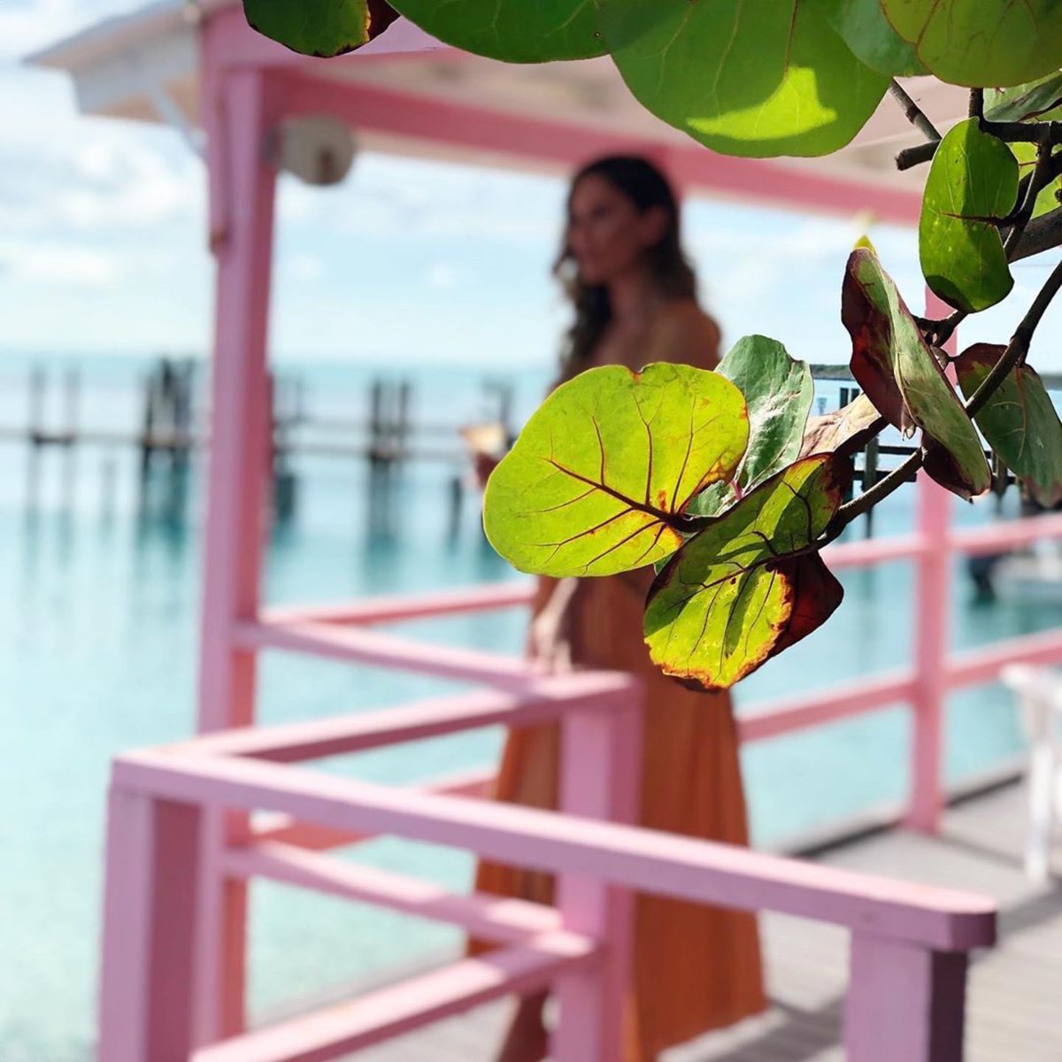 Meandering through paths surrounded by all things #islandflavored 

📸:  pbsocialdiary  /  IG

Come on experience a place like no other: bit.ly/SCYCLife  

#stanielcay #stanielcayyachtclub #exumas #outlislands #exumacays #flyawaybahamas #getoutthere #thebahamas #scyc