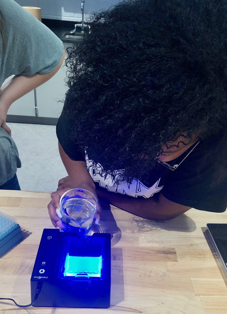 MahwahSci_Eng's tweet photo. DNA Fingerprinting today in BioTech! https://t.co/OPiKm3LPtA