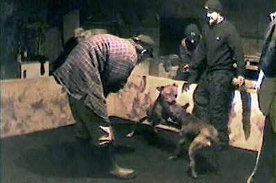 pitbullsad's tweet image. These pictures came from a dog fighting operation. The pit they can break down &amp;amp; put up again anywhere. This is one of the reasons they are so hard to catch, they move around &amp;amp; are very secretive. They set up in the woods, basements, empty warehouses, anywhere. #enddogfighting