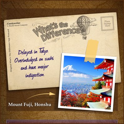 helen carelli tweet media