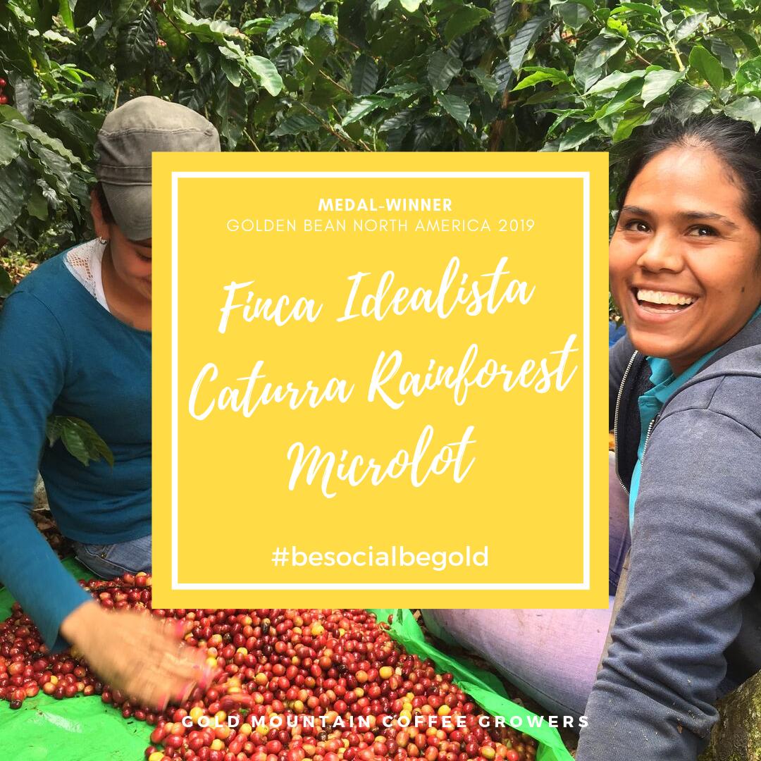 GoldMtnCoffee's tweet photo. Our ‘Caturra Rainforest’ microlot medaled in the filter category of #GBNA19 ☕🏅. This coffee funds protection of our neighboring 🌴 rainforest and endangered 🐸 animals there
🛒 Preorder for the 2020 harvest 👉 https://t.co/KauQgluO7R
#besocialbegold #goldmtncoffee #3toedsloth https://t.co/FEYeiBdyRv
