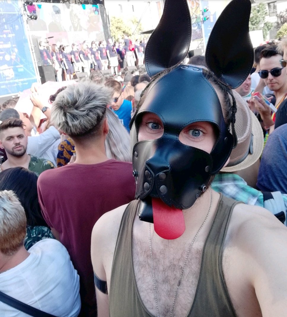puppy_simba's tweet photo. Recordado el #Orgullo19 🌈 ••••• Kinky pride 🌈#puppyplaycommunity #gaypup #gay #pup #fetish #gayfetish #dogtraining #kinky #pride #pridemadrid https://t.co/grnAGL6Eud