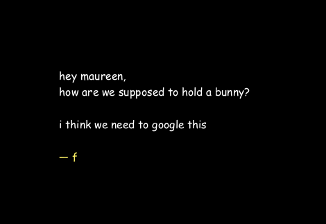 
hey maureen,
how are we supposed to hold a bunny?

i think we need to google this

-- f
