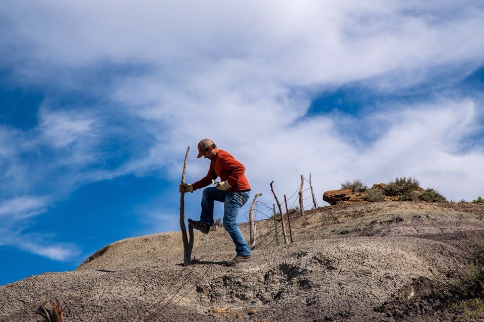 USFWSRefuges's tweet photo. Volunteers do such valuable work for conservation and national wildlife refuges. In the process, they sometimes leave us with striking visual images. Removing old fence at Charles M. Russell National Wildlife Refuge, MT https://t.co/tUCEcaHAWd. (Photo: Patrick Sievert) https://t.co/aVHsdLtexA